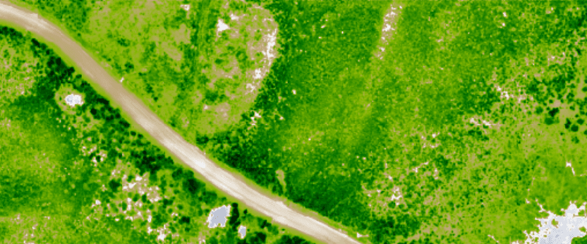 Multi Spectral Vegetation Mapping